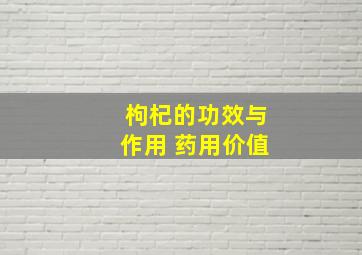 枸杞的功效与作用 药用价值